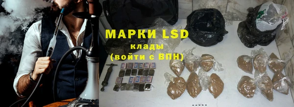 PSILOCYBIN Нефтегорск