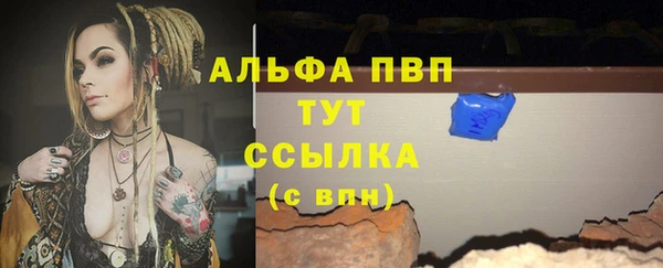 PSILOCYBIN Нефтегорск